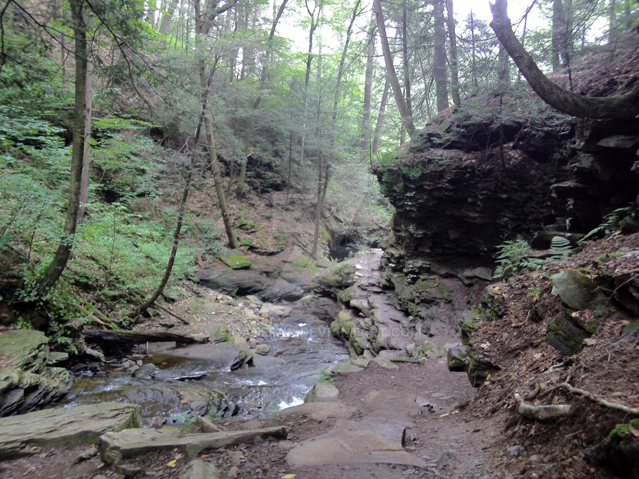 Ricketts Glen #6