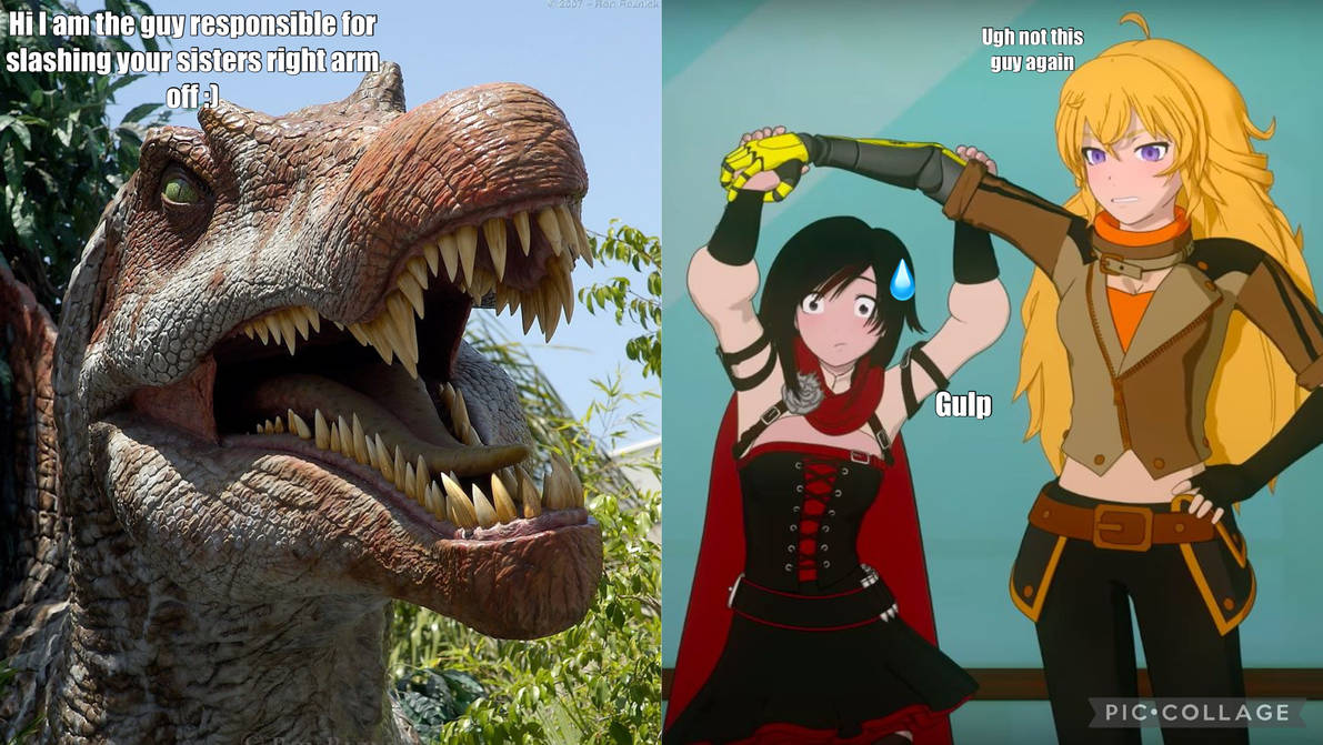 Ruby meets yangs well enemy by darkdragon992 on DeviantArt