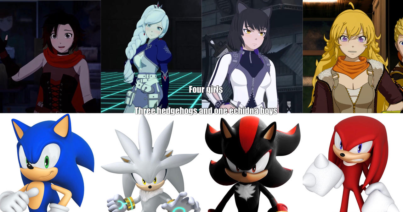 Team RWBY and team SSSK by darkdragon992 on DeviantArt