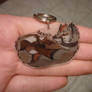 Shrinky dink 3