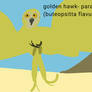 Obscure zoology suggestion: golden hawk-parakeet