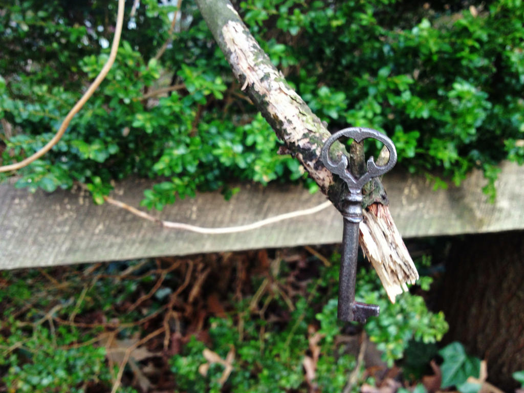 Key In A Tree by SteamPixy on DeviantArt