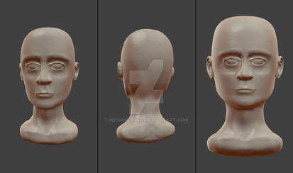 Sculpt Sketch 03 - First human bust