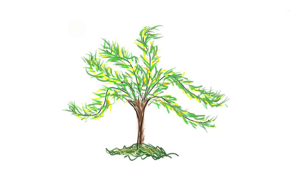 Willow tree by achana3 on DeviantArt
