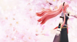 Luka and sakura)