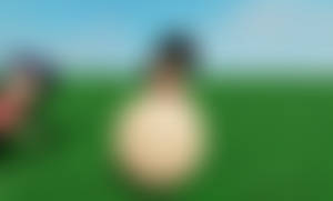Momo Create of Full