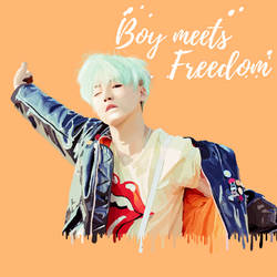 Suga: Boy meets Freedom