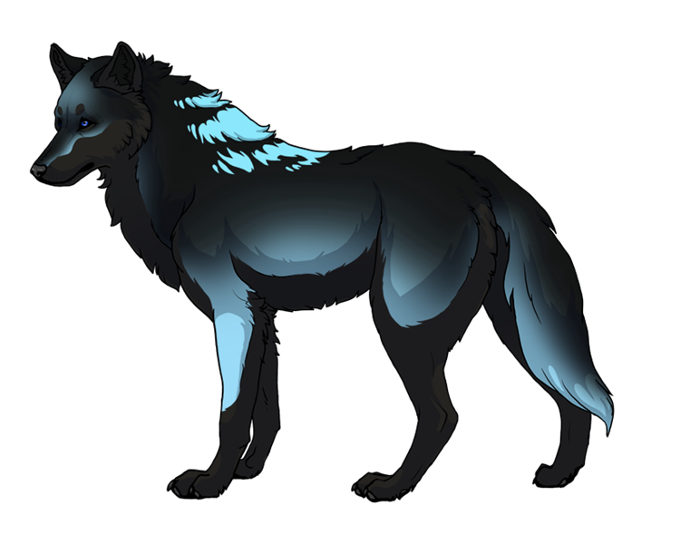 The leader wolf by millakunst on DeviantArt
