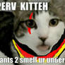 Prussian Perv Kitteh