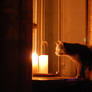 Cat and a candle