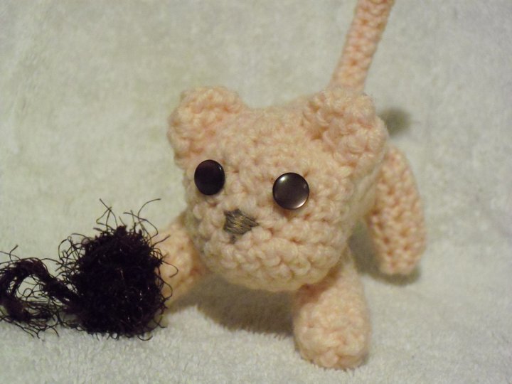 Cute Kitty Amigurumi close up