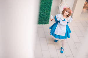 Cardcaptor Sakura Cosplay |Alice in wonderland ver