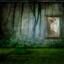 . . . return . . .