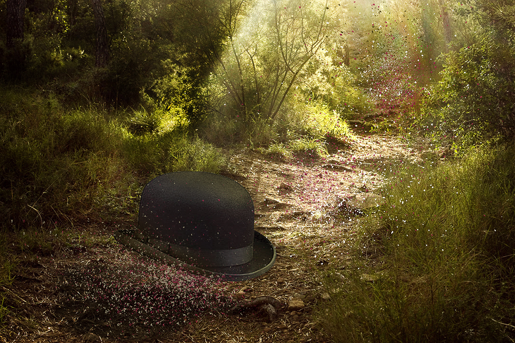 . . . Magritte s Path . . .