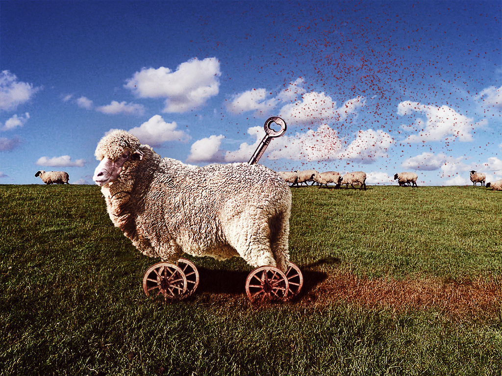 . . . All Sheep . . .