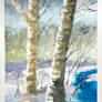 . . . Birch . . .