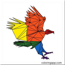 Rainbow Bird