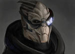 Mass Effect - Garrus