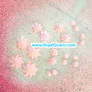 Light Pink Butter Flowers