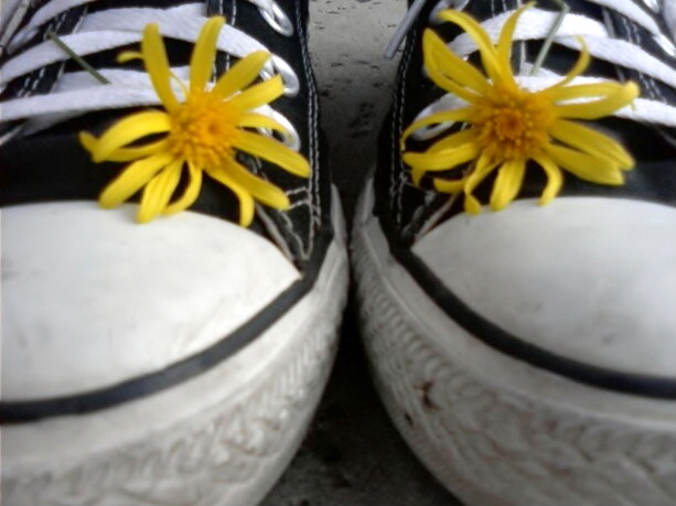 Chucks and Daisies, Original