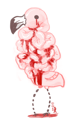 Intestine Flamingo
