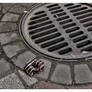 Of donuts and sewer grids