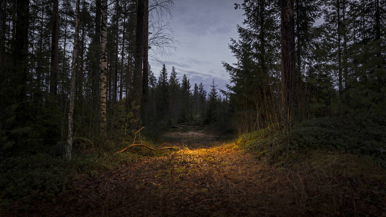 Lead Kindly Light by wchild