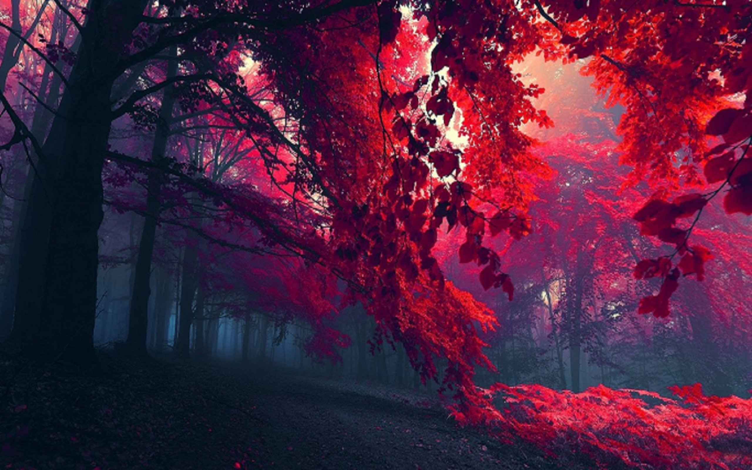 Red-blood-forest-wallpaper