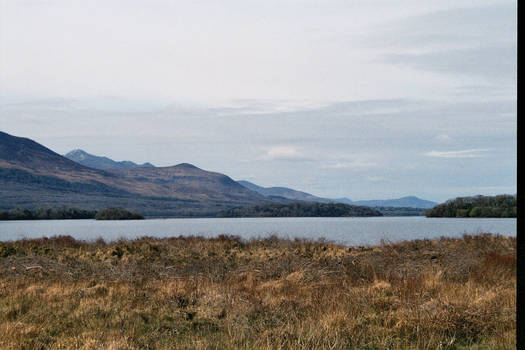 a View of  Lough Leane