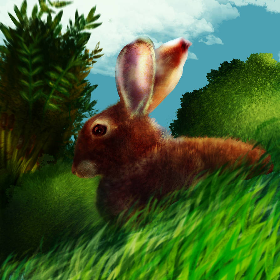 Artist Rabb Rabb by freshhotdouglas on DeviantArt