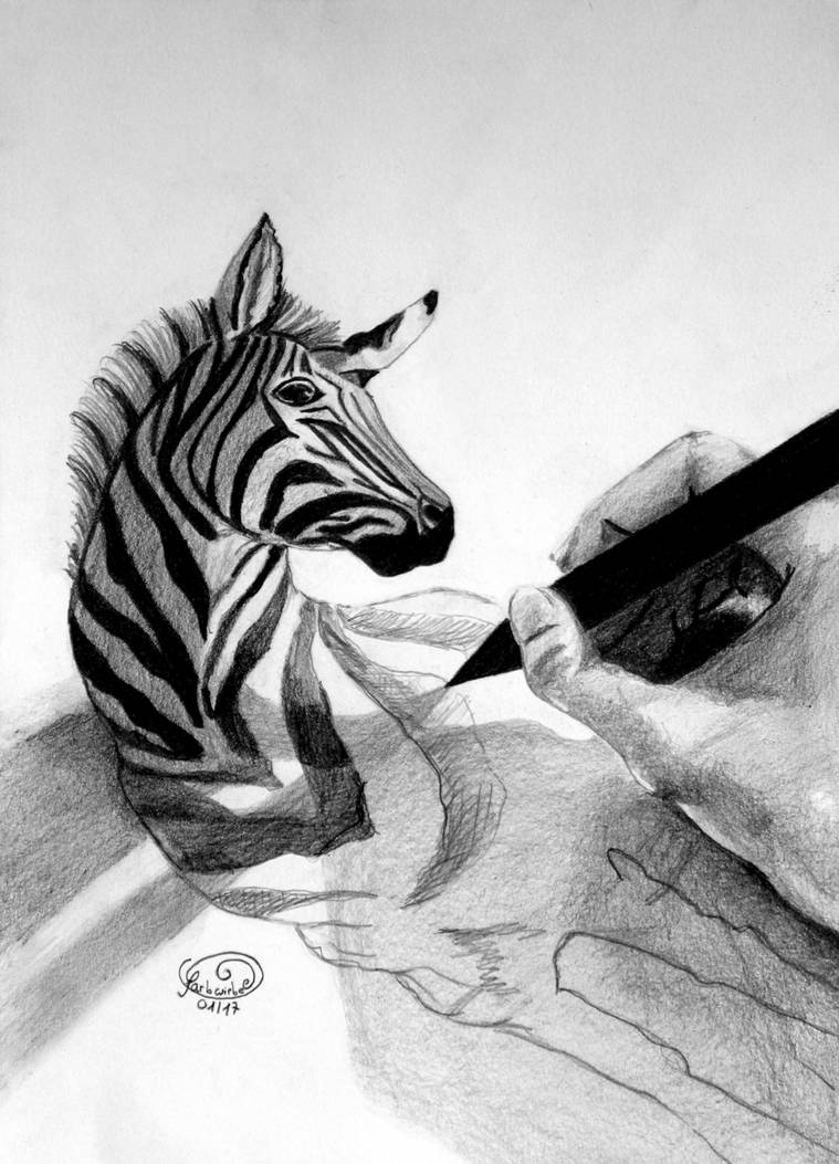 Shadow Practice: 3D-Zebra by farbwirbel