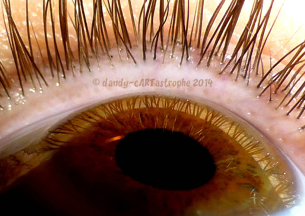 Eye-ris 06 by dandy-cARTastrophe on DeviantArt