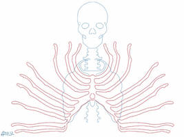 Skeleton rib cage pattern