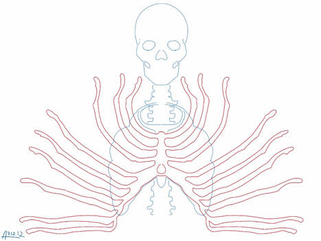 Skeleton Rib Cage Pattern By Olgatarta On DeviantArt
