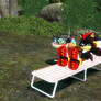 Shadow's vacation