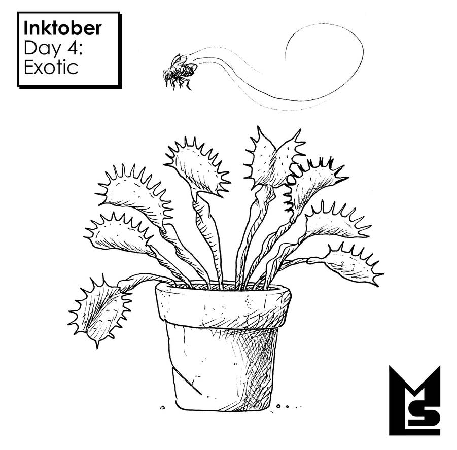 Exoti Ink Drawing Inktober - Day 4: Exotic by loganstamps1 on DeviantArt