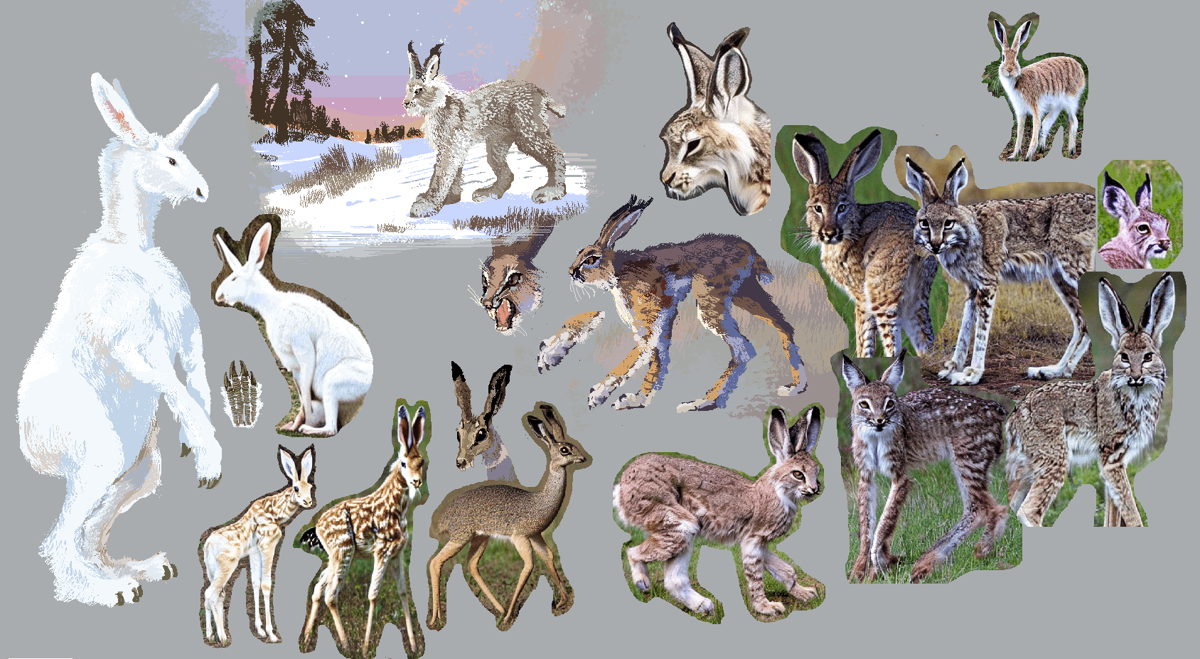 Rabbits by GOONWITHAFACE on DeviantArt