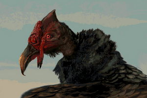 Blood Vulture