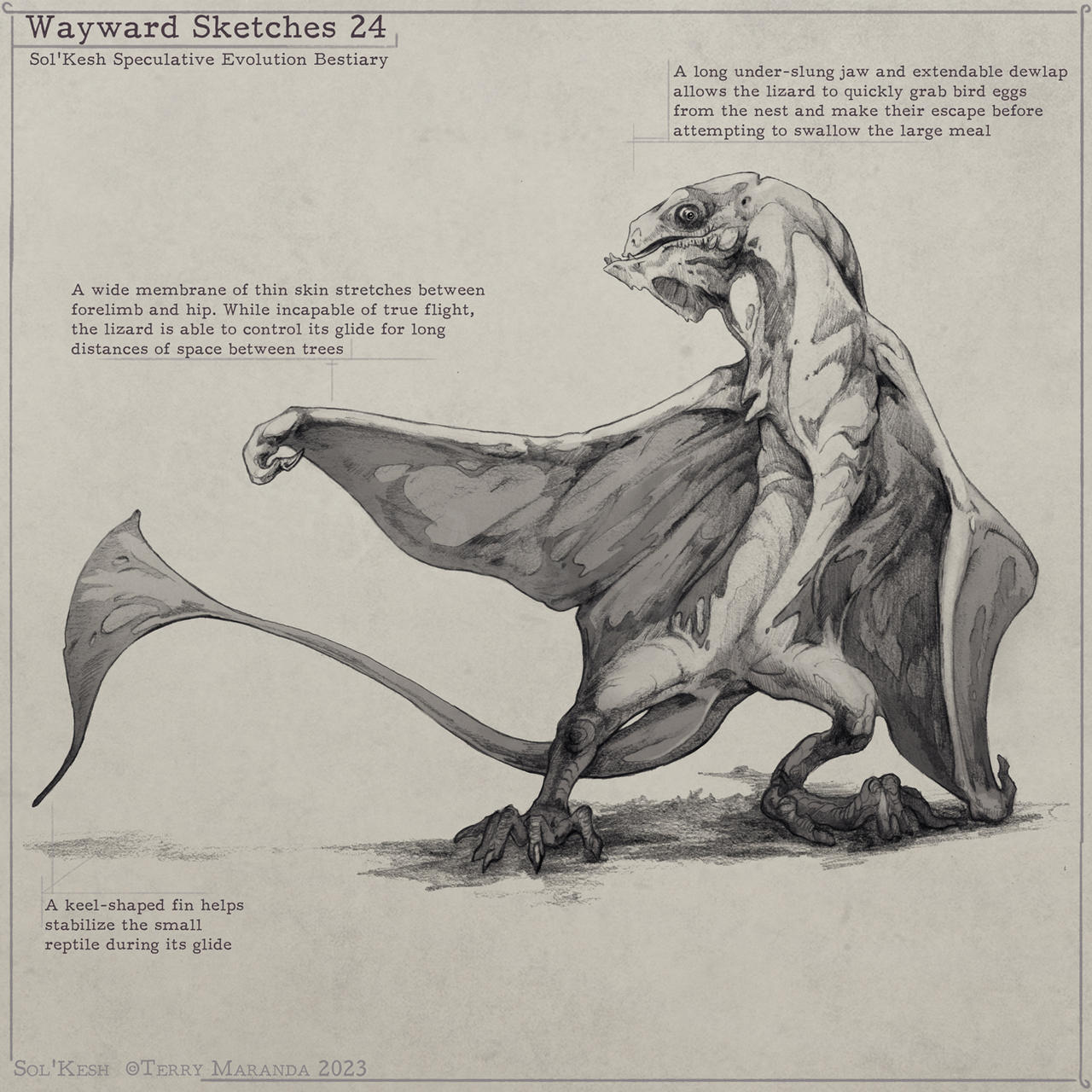 Wayward 24 by SolKesh on DeviantArt