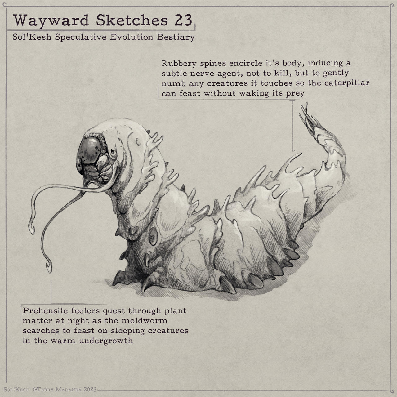 Wayward Psche Set Wayward 28 by SolKesh on DeviantArt