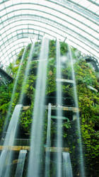 Waterfall in Cloud Forest