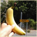 BANANA SPLIT by Fohnshaper