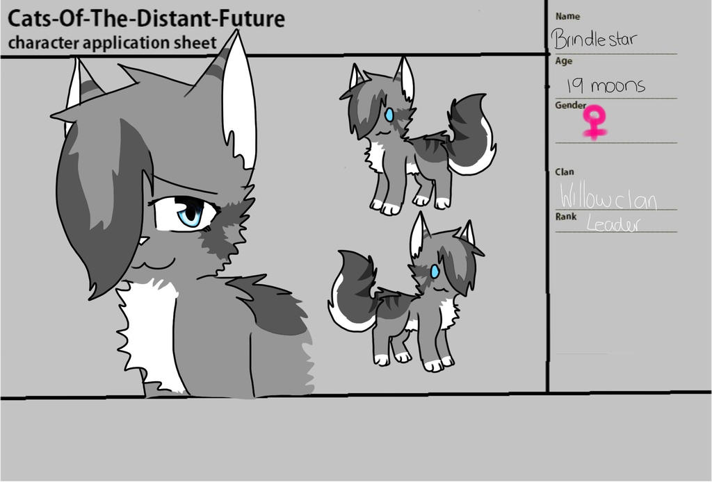 Brindlekit Brindlestar by NINETAILEDDEMON1940 on DeviantArt