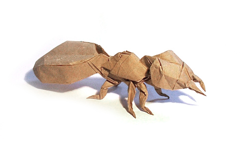 Origami Ant