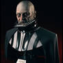 Darth Vader Unmasked Bust