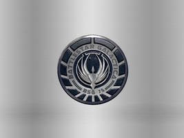 BSG Seal