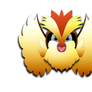 Pidgey