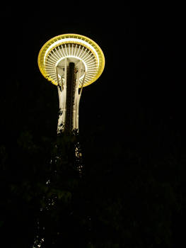 A classic space needle shot