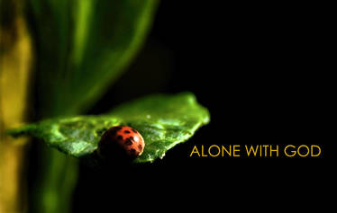 Alone