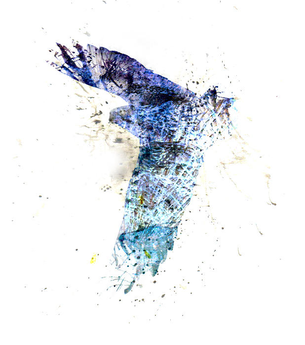 Texture mix Creature - Falcon by Sparkler-K on DeviantArt